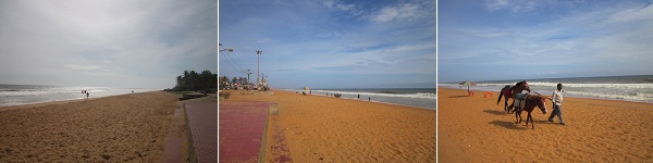 4IMG_0857